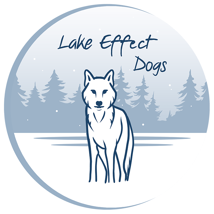 Lake Effect Dogs